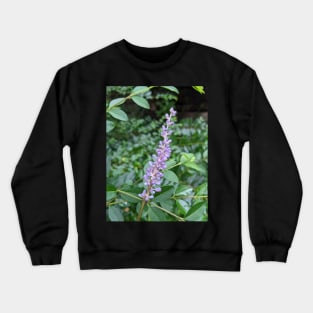 Rod of Lavender Bulbs Photographic Image Crewneck Sweatshirt